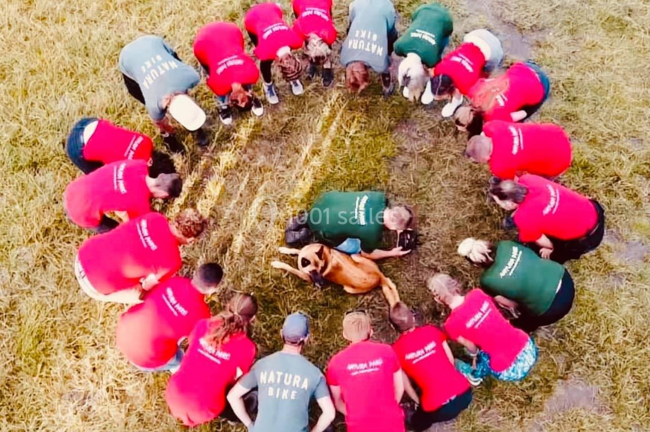 Un groupe de personnes en cercle autour d'un chien couché sur l'herbe, vu de dessus.