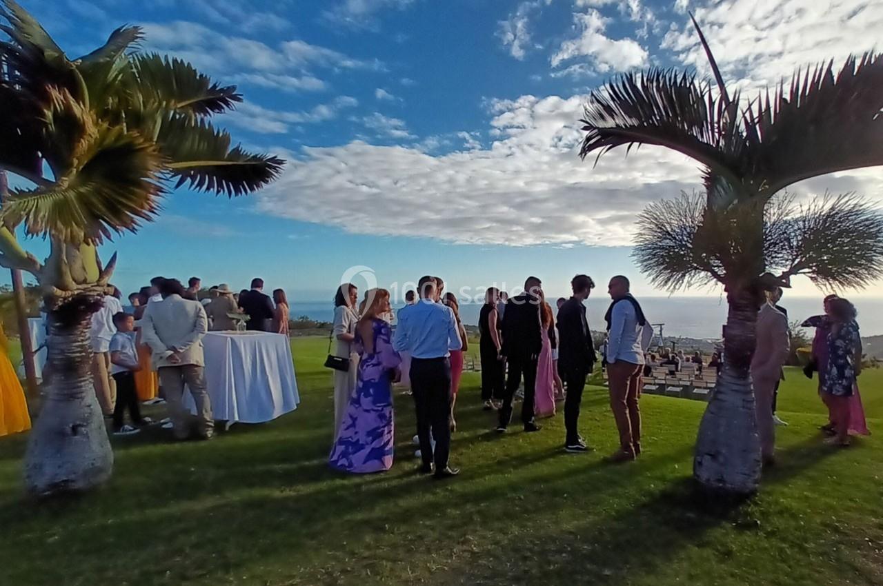 Groupe de personnes discutant en plein air sur une pelouse, entouré de palmiers, avec vue sur la mer et le ciel dégagé.