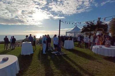 Buffet lumineux avec compartiments remplis de salades et condiments, entouré de bols dans une salle de restaurant.