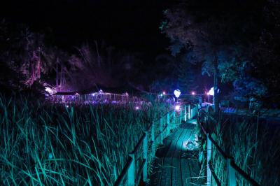 Groupe de personnes rassemblées dans un jardin éclairé par des guirlandes lumineuses lors d'un événement nocturne.