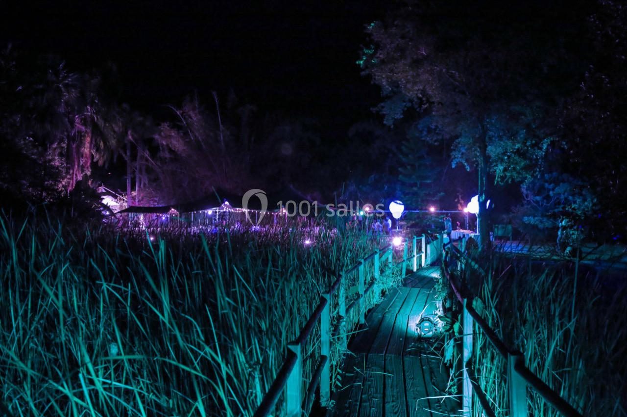 Passerelle en bois traversant une végétation dense, éclairée par des lumières violettes dans un décor nocturne.