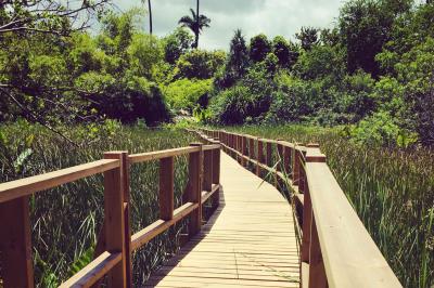 Groupe de personnes rassemblées dans un jardin éclairé par des guirlandes lumineuses lors d'un événement nocturne.