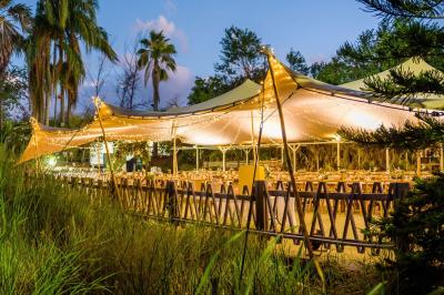 Groupe de personnes rassemblées dans un jardin éclairé par des guirlandes lumineuses lors d'un événement nocturne.
