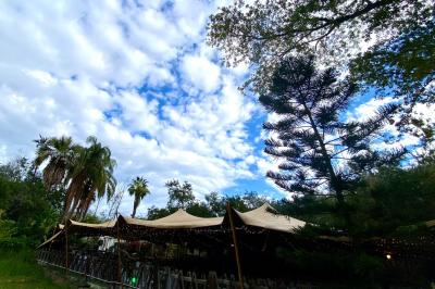 Bancs en bois disposés sur une pelouse pour une cérémonie en plein air, entourés de végétation et de fleurs.