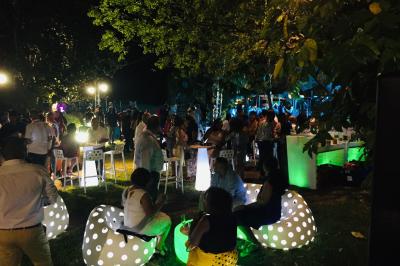 Bancs en bois disposés sur une pelouse pour une cérémonie en plein air, entourés de végétation et de fleurs.