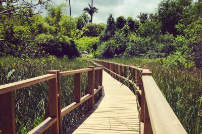 Bancs en bois disposés sur une pelouse pour une cérémonie en plein air, entourés de végétation et de fleurs.