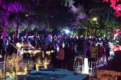 Bancs en bois disposés sur une pelouse pour une cérémonie en plein air, entourés de végétation et de fleurs.