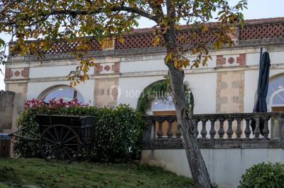 Location salle Villié-Morgon (Rhône) - Château Grange Cochard #22