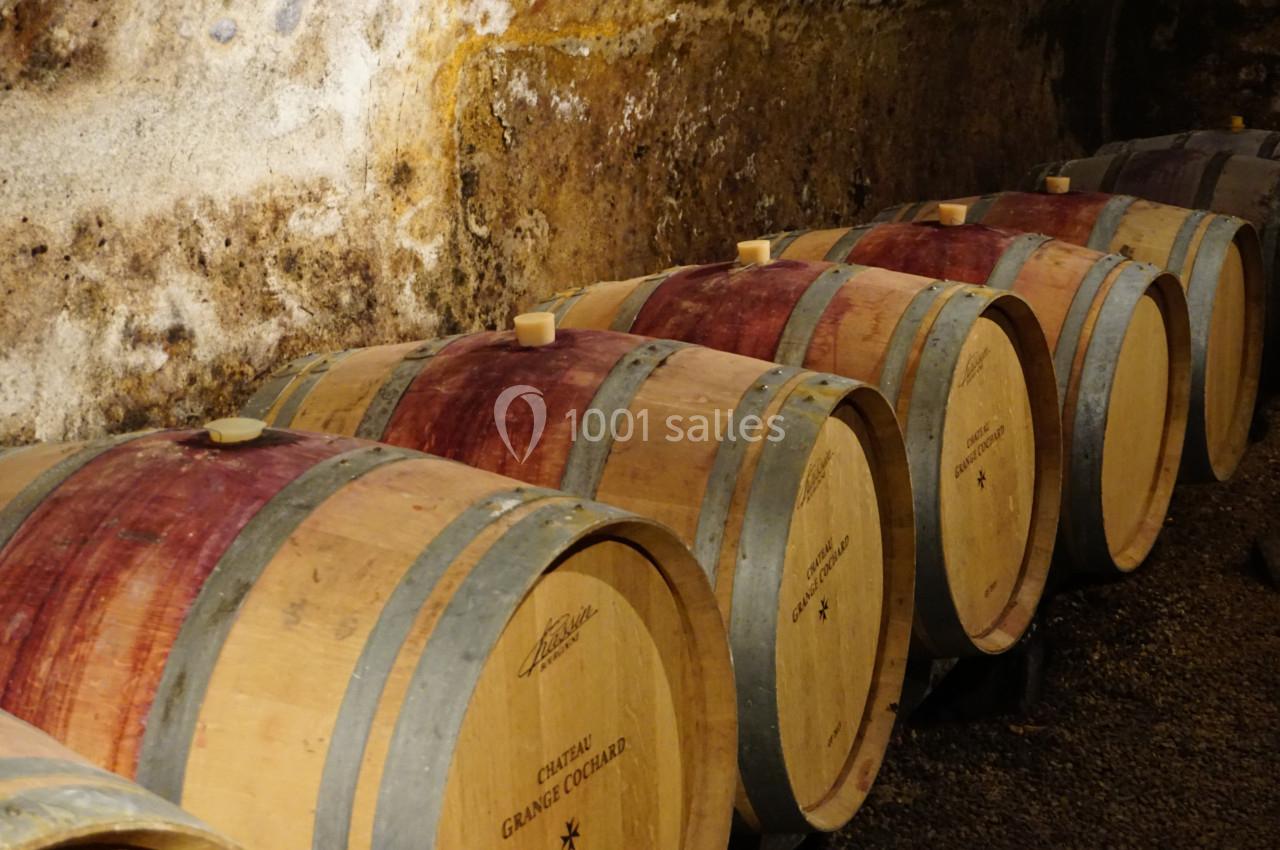 Location salle Villié-Morgon (Rhône) - Château Grange Cochard #13