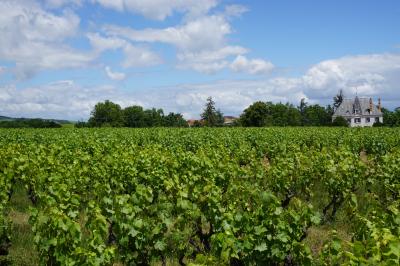 Location salle Villié-Morgon (Rhône) - Château Grange Cochard #22