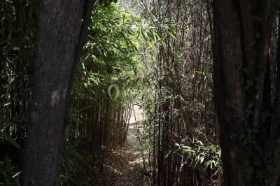 Chambre avec un lit double, éclairage doux et une grande bibliothèque en bois remplie de livres en arrière-plan.