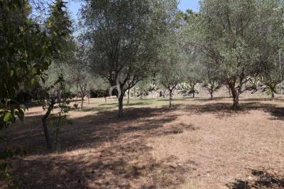 Chambre avec un lit double, éclairage doux et une grande bibliothèque en bois remplie de livres en arrière-plan.
