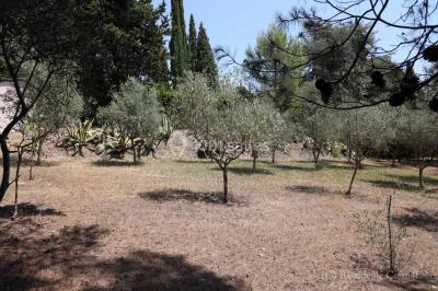 Chambre avec un lit double, éclairage doux et une grande bibliothèque en bois remplie de livres en arrière-plan.