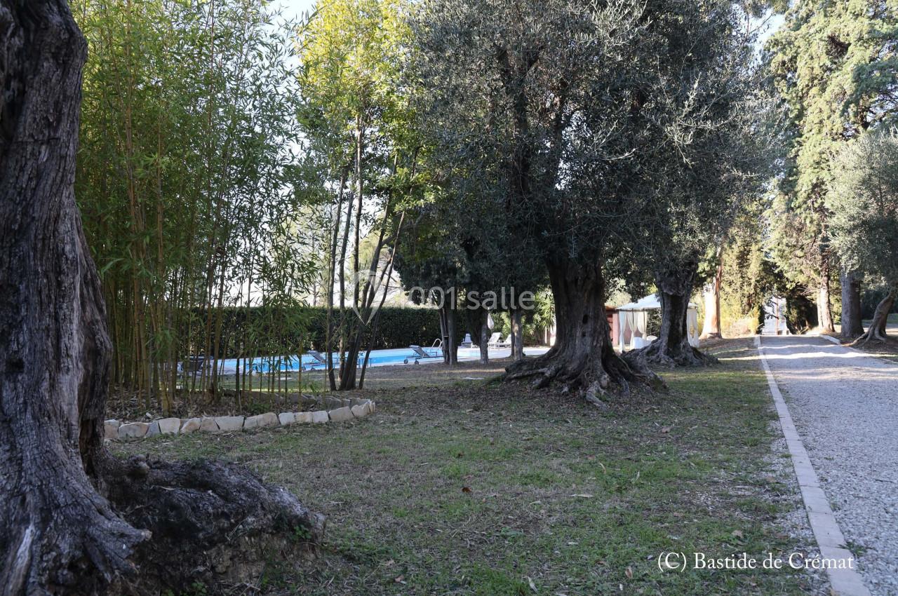Allée bordée d'arbres et de bambous avec une piscine visible à gauche, dans un cadre naturel et paisible.