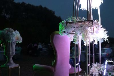 Chambre avec un lit double, éclairage doux et une grande bibliothèque en bois remplie de livres en arrière-plan.