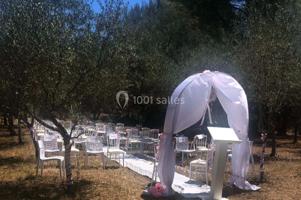 Cérémonie en plein air avec arche blanche décorée et chaises disposées sous des oliviers.