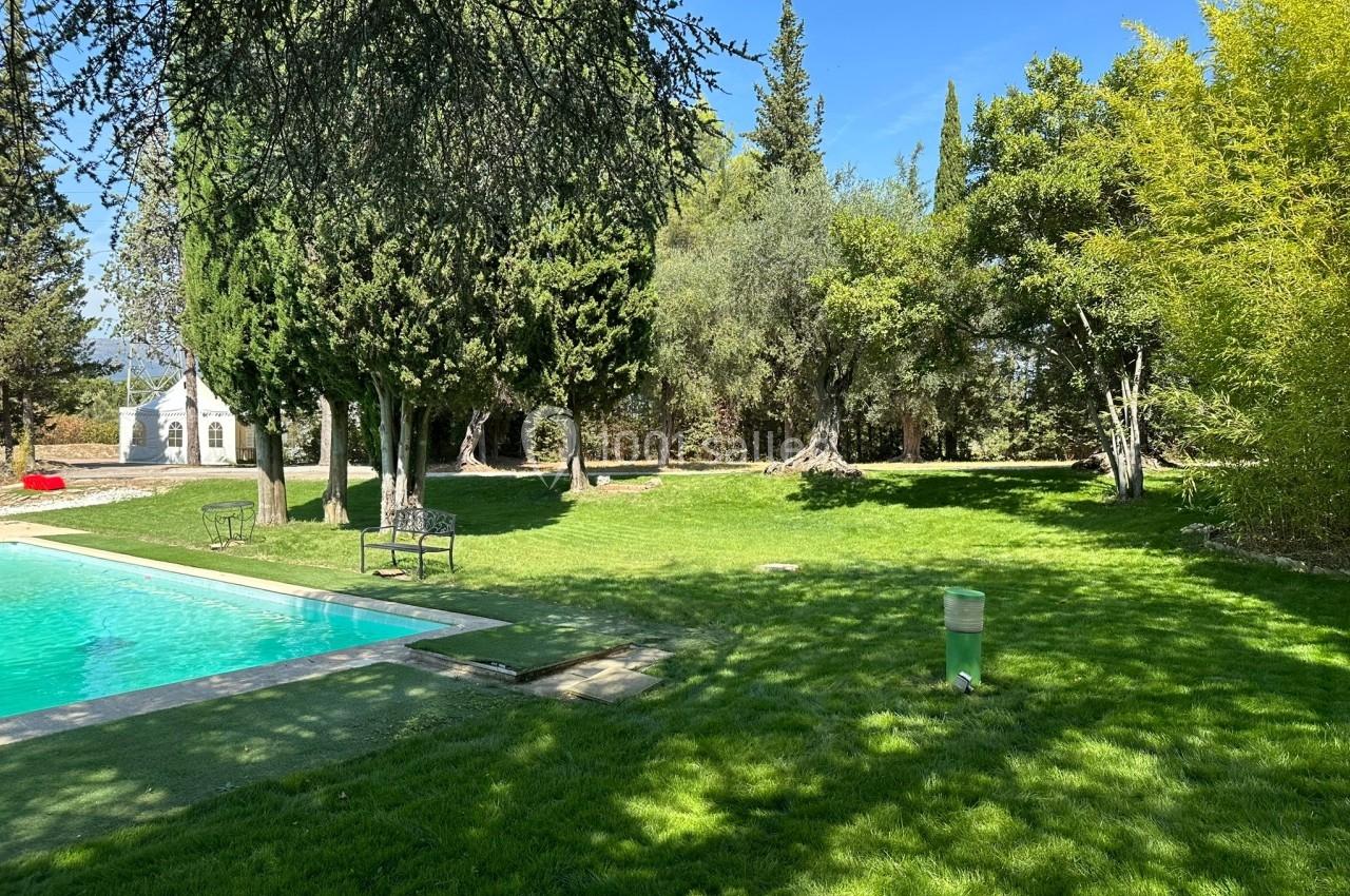 Pelouse verdoyante avec une piscine, entourée d'arbres et de végétation sous un ciel bleu clair.
