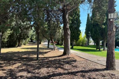 Chambre avec un lit double, éclairage doux et une grande bibliothèque en bois remplie de livres en arrière-plan.