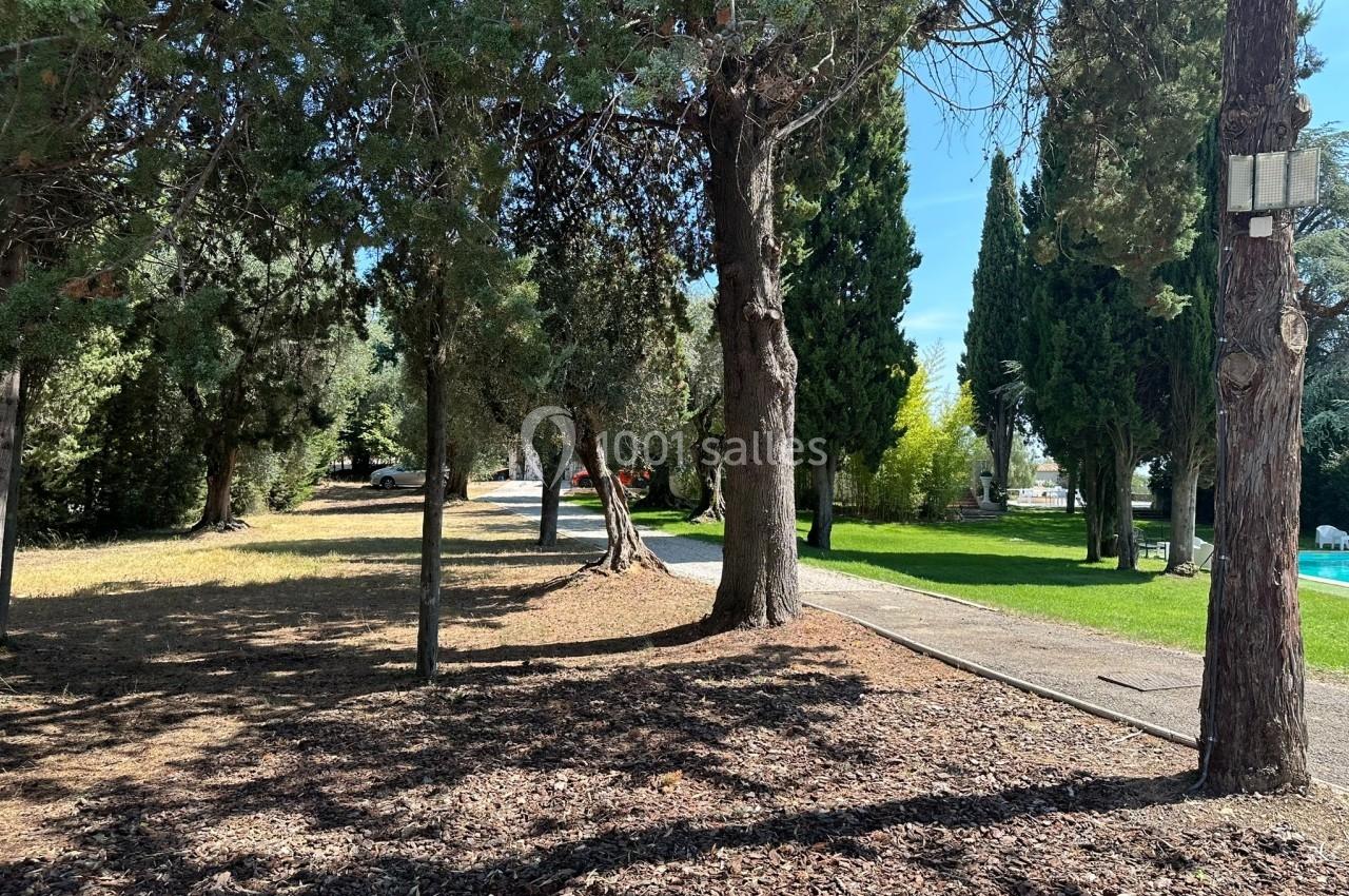 Allée bordée d'arbres avec un sol couvert de copeaux de bois, menant à une pelouse et un espace ensoleillé.