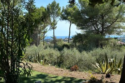 Chambre avec un lit double, éclairage doux et une grande bibliothèque en bois remplie de livres en arrière-plan.