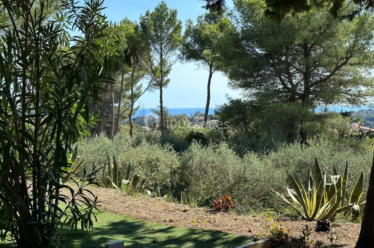 Vue sur un jardin arboré avec des plantes méditerranéennes, des pins et un aperçu de la mer à l'horizon.