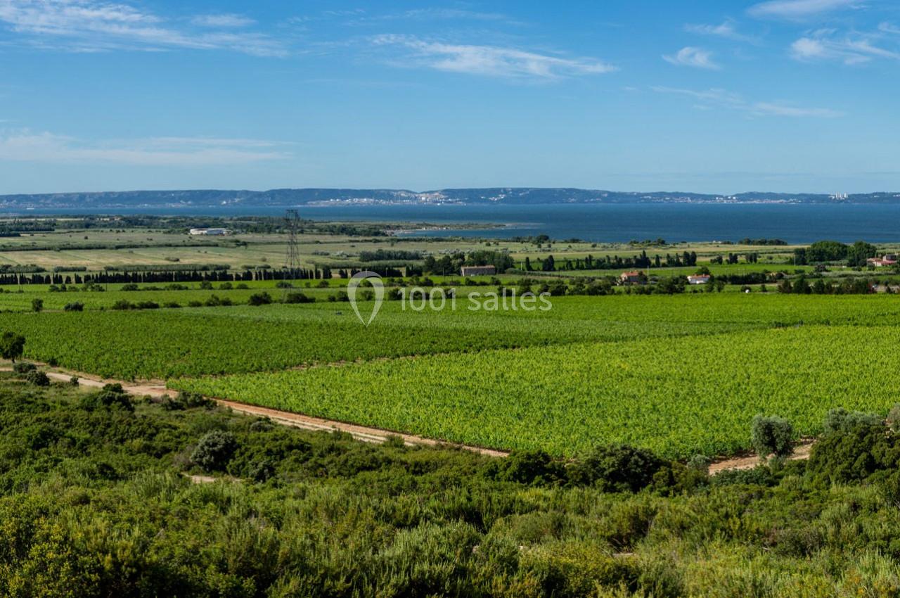 Paysage de vignobles verdoyants s'étendant jusqu'à un plan d'eau, avec des collines et une ville visible à l'horizon.