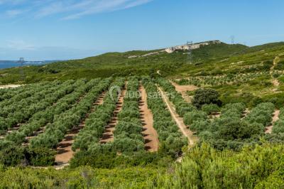 Personnes rassemblées devant une grande maison avec des tentes blanches, un brasero avec brochettes au premier plan.