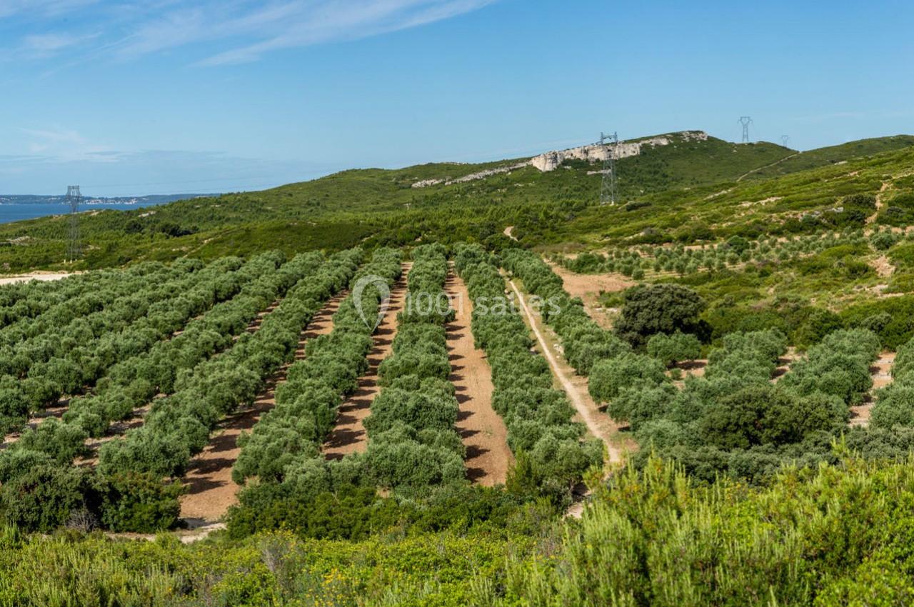 Location salle Lançon-Provence (Bouches-du-Rhône) - Villa Bellevue Château Calissanne #15
