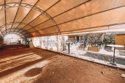 Location salle Lyon 7 (Rhône) - 27 Madeleine #12