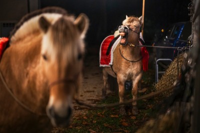 Location salle Chaudenay (Saône-et-Loire) - Domaine Armand Heitz #48