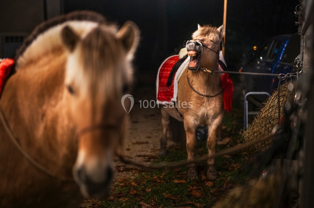 Location salle Chaudenay (Saône-et-Loire) - Domaine Armand Heitz #16