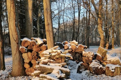 Location salle Chaudenay (Saône-et-Loire) - Domaine Armand Heitz #48