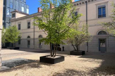 Plateau de verrines variées comprenant des préparations salées et sucrées, disposées sur une table en inox.
