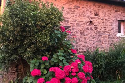 Une femme en robe de mariée est assise sur un tapis dans un jardin, tenant un bouquet de fleurs séchées.
