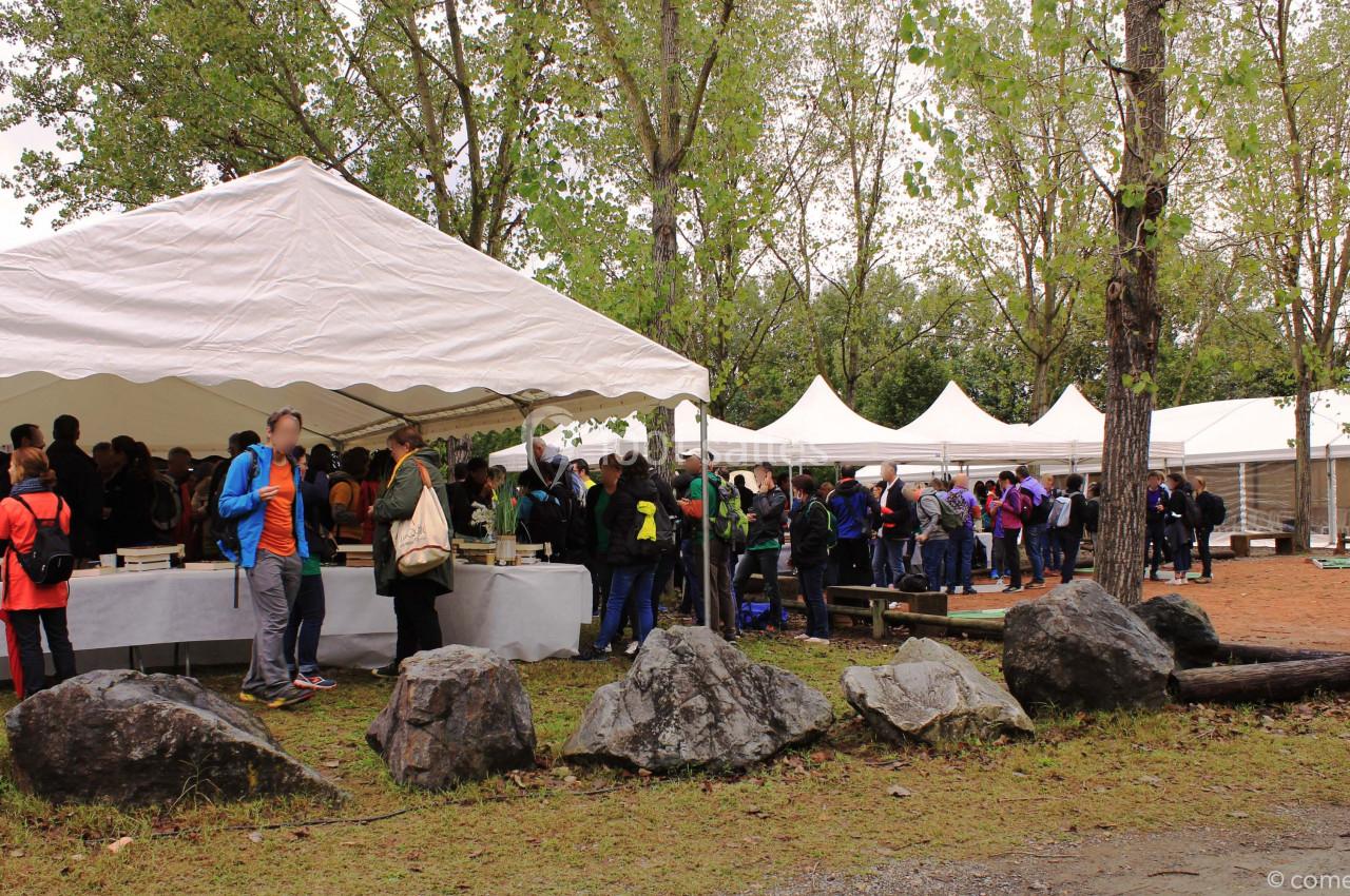 Location salle Anse (Rhône) - La Guinguette Plage et Nature #16