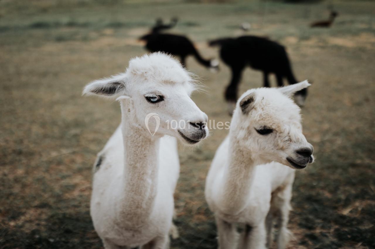 Location salle Rennemoulin (Yvelines) - La Ferme du Prieuré #10
