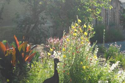 Allée bordée de végétation dense avec un château gonflable coloré visible à gauche et des bâtiments en arrière-plan.