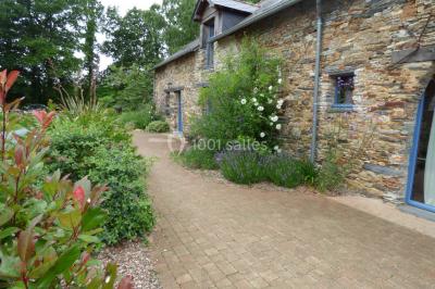 Allée bordée de végétation dense avec un château gonflable coloré visible à gauche et des bâtiments en arrière-plan.