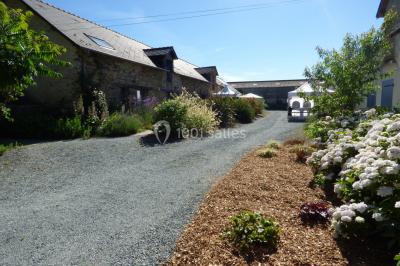 Allée bordée de végétation dense avec un château gonflable coloré visible à gauche et des bâtiments en arrière-plan.