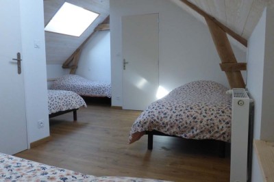 Allée bordée de végétation dense avec un château gonflable coloré visible à gauche et des bâtiments en arrière-plan.