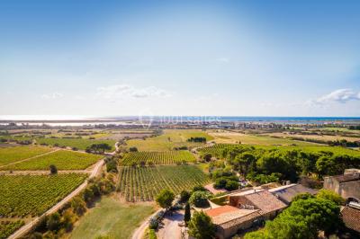 Château le Bouis Château le Bouis