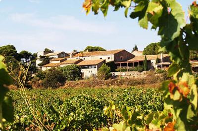 Fauteuils en rotin avec coussins blancs disposés dans un cadre naturel entouré d'arbres et de végétation.