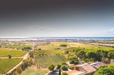 Fauteuils en rotin avec coussins blancs disposés dans un cadre naturel entouré d'arbres et de végétation.