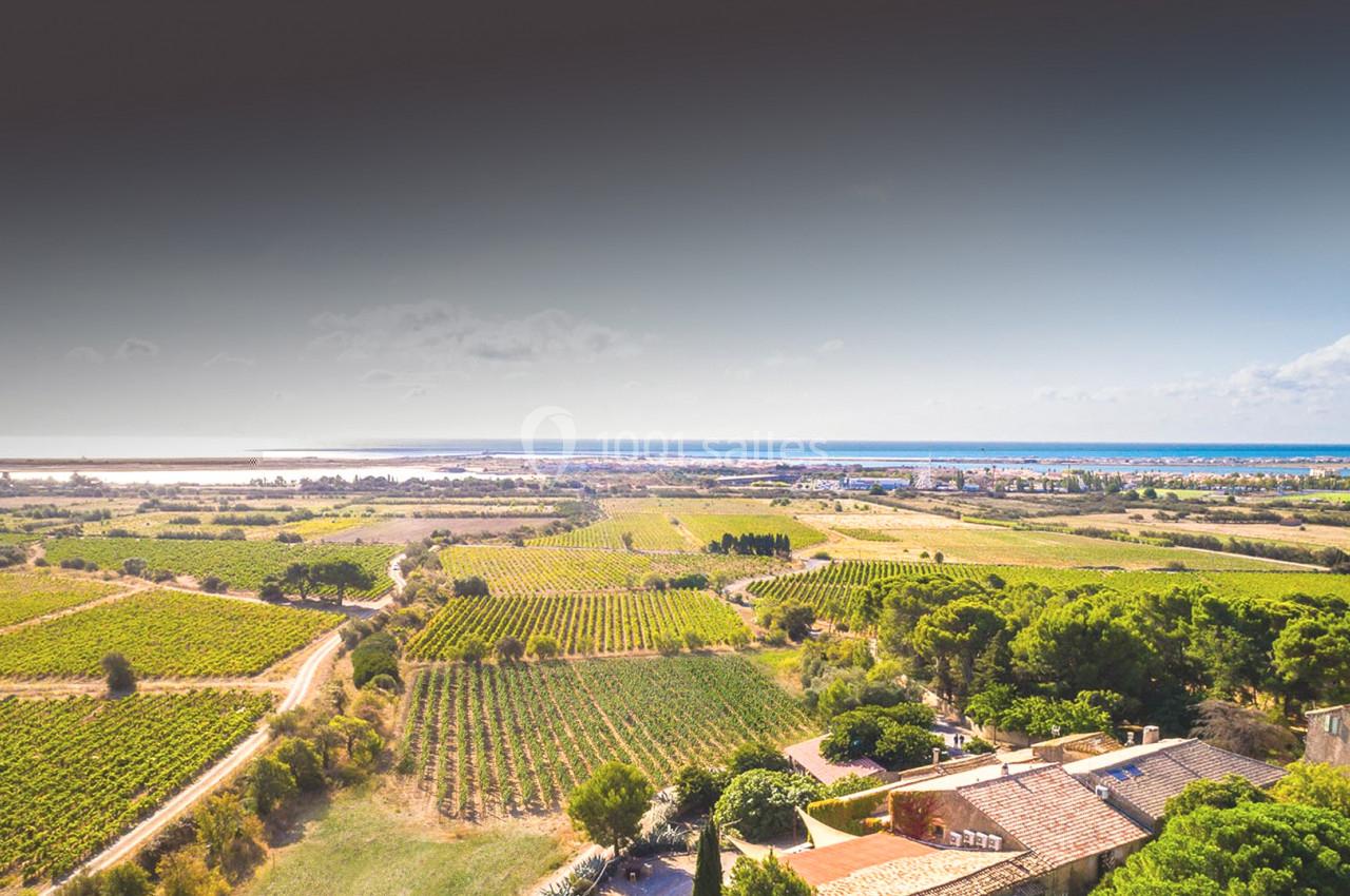 Vue aérienne d'un paysage rural avec des vignobles, des arbres et des bâtiments, s'étendant jusqu'à une étendue d'eau à l…