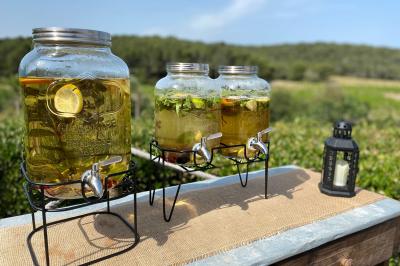 Fauteuils en rotin avec coussins blancs disposés dans un cadre naturel entouré d'arbres et de végétation.