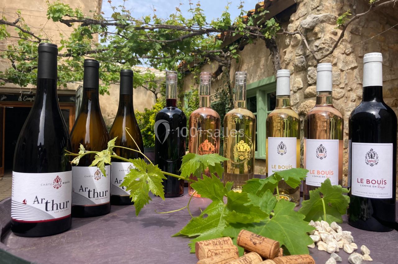 Bouteilles de vin rouge, blanc et rosé disposées sur une table en extérieur avec des feuilles de vigne et des bouchons en…