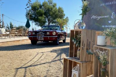 Fauteuils en rotin avec coussins blancs disposés dans un cadre naturel entouré d'arbres et de végétation.