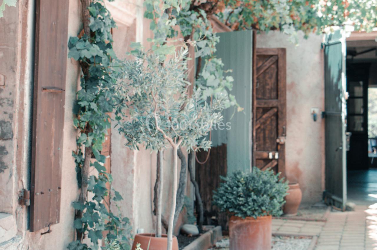 Façade de maison avec volets en bois, plantes en pots et treille de vigne sur un chemin pavé.