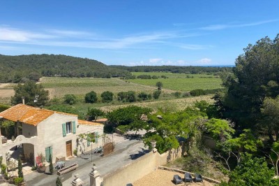 Fauteuils en rotin avec coussins blancs disposés dans un cadre naturel entouré d'arbres et de végétation.