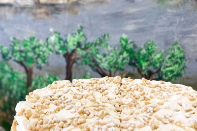 Fauteuils en rotin avec coussins blancs disposés dans un cadre naturel entouré d'arbres et de végétation.